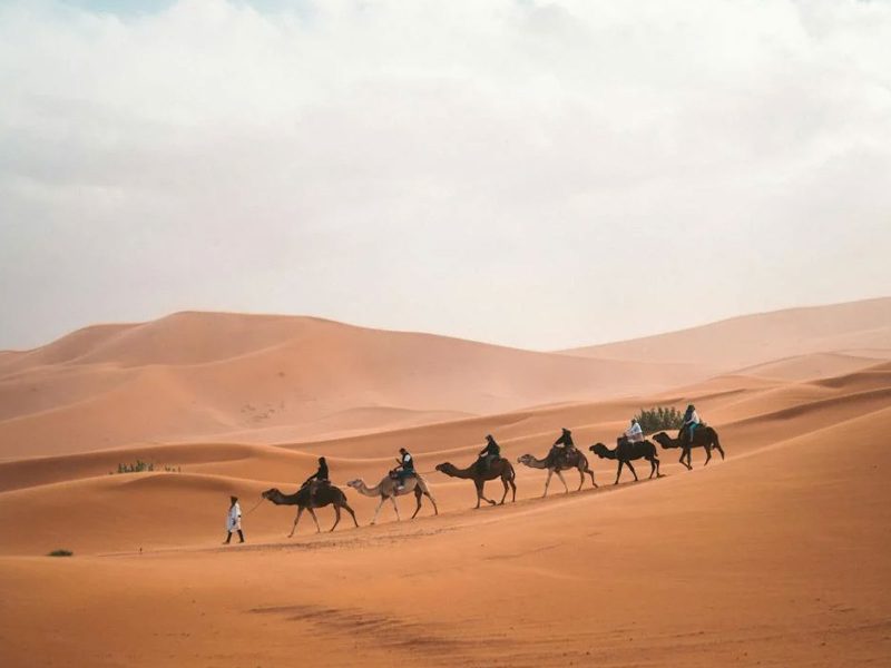 7 days \ 6 Night Morocco Private Tour Marrakech to Fes via Merzouga Sahara