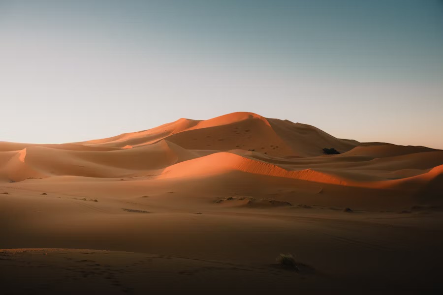 Sahara Sunrise