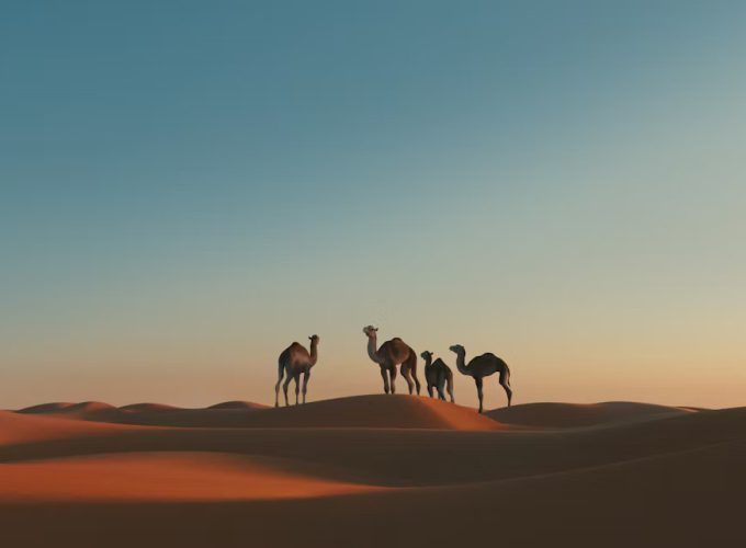 Sahara Desert Adventure: 4-Day Deep Desert Exploration