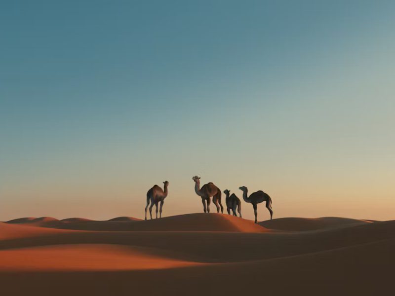 Sahara Desert Adventure: 4-Day Deep Desert Exploration