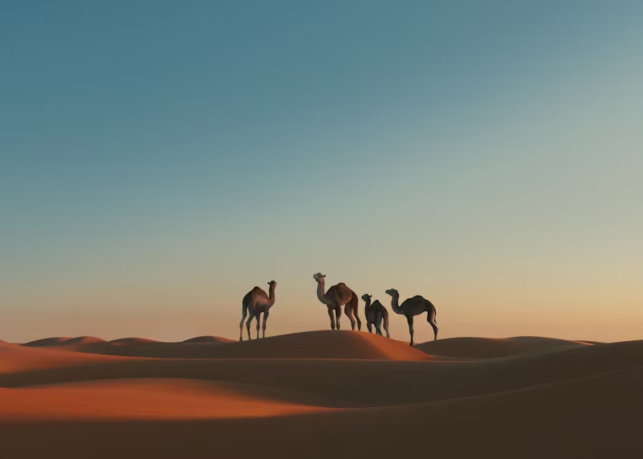 Sahara Desert Adventure: 4-Day Deep Desert Exploration